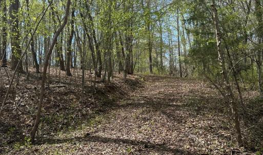 Photo #9 of Gladys Road, Altavista, VA 4.9 acres