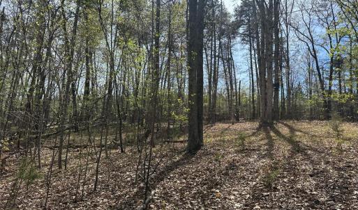 Photo #7 of Gladys Road, Altavista, VA 4.9 acres