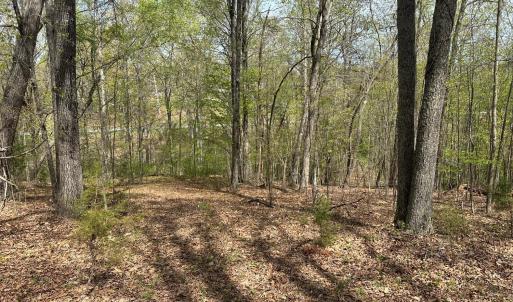 Photo #6 of Gladys Road, Altavista, VA 4.9 acres