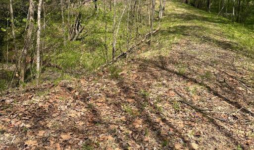 Photo #10 of Gladys Road, Altavista, VA 4.9 acres