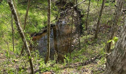 Photo #5 of Gladys Road, Altavista, VA 4.9 acres