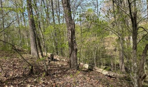 Photo #4 of Gladys Road, Altavista, VA 4.9 acres