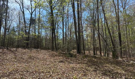 Photo #8 of Gladys Road, Altavista, VA 4.9 acres