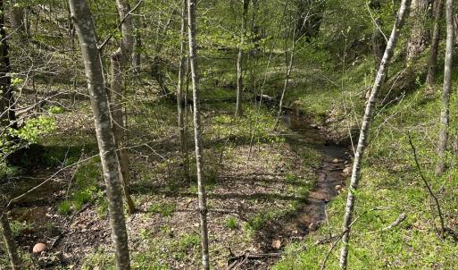 Photo #2 of Gladys Road, Altavista, VA 4.9 acres