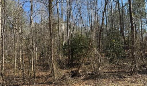 Photo #4 of Sturgeon Road, Dolphin, VA 11.5 acres