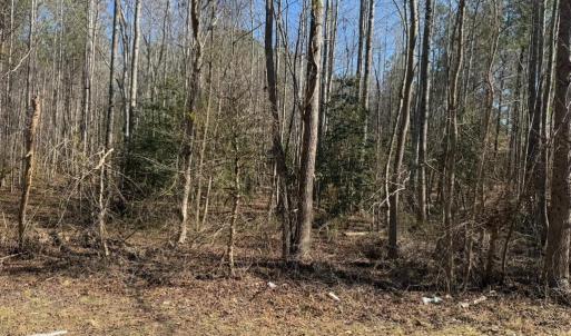 Photo #3 of Sturgeon Road, Dolphin, VA 11.5 acres