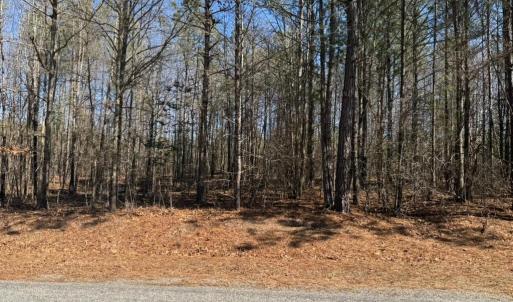 Photo #1 of Sturgeon Road, Dolphin, VA 11.5 acres