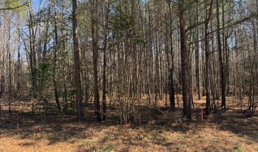 Photo #6 of Sturgeon Road, Dolphin, VA 11.5 acres
