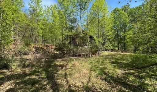 Photo #13 of 3022 Bonsack Street, Lynchburg, VA 1.2 acres