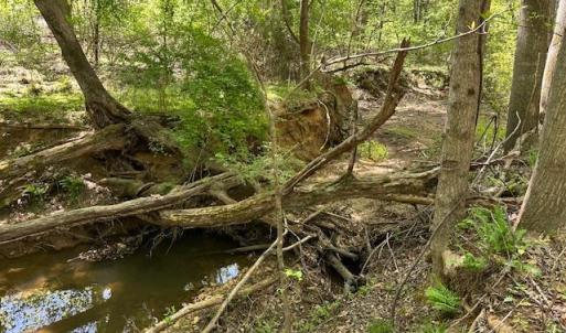 Photo #16 of 3022 Bonsack Street, Lynchburg, VA 1.2 acres