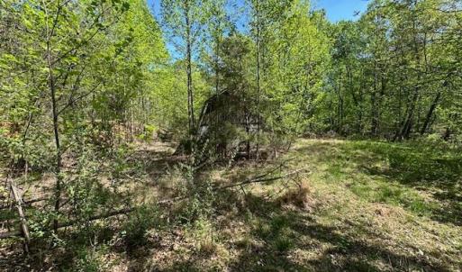 Photo #12 of 3022 Bonsack Street, Lynchburg, VA 1.2 acres