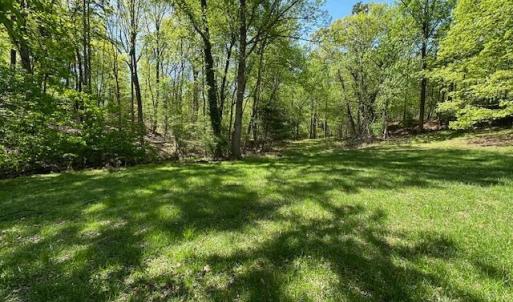 Photo #18 of 3022 Bonsack Street, Lynchburg, VA 1.2 acres