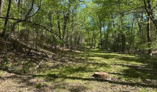 Photo #14 of 3022 Bonsack Street, Lynchburg, VA 1.2 acres