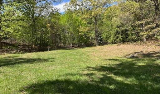 Photo #17 of 3022 Bonsack Street, Lynchburg, VA 1.2 acres