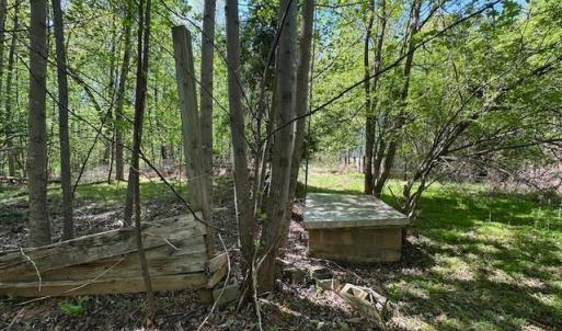 Photo #11 of 3022 Bonsack Street, Lynchburg, VA 1.2 acres