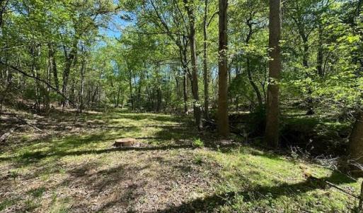 Photo #15 of 3022 Bonsack Street, Lynchburg, VA 1.2 acres