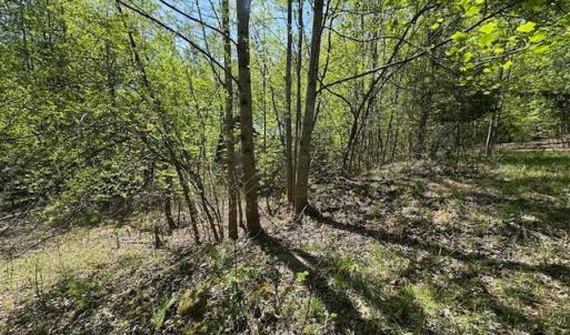 Photo #10 of 3022 Bonsack Street, Lynchburg, VA 1.2 acres