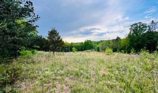 Photo #5 of Wards Rd, Altavista, VA 9.4 acres