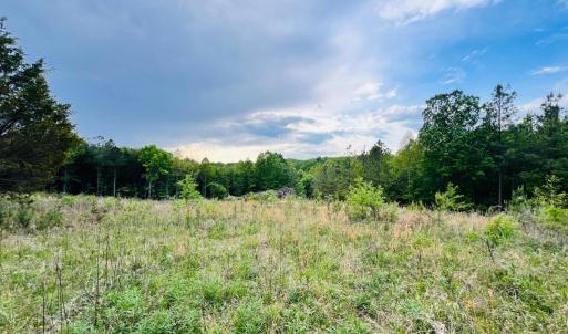 Photo #2 of Wards Rd, Altavista, VA 9.4 acres