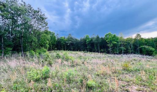 Photo #6 of Wards Rd, Altavista, VA 9.4 acres