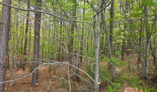 Photo #8 of Gardner Farm Road, Appomattox, VA 5.8 acres