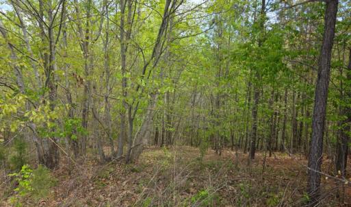 Photo #9 of Gardner Farm Road, Appomattox, VA 5.8 acres
