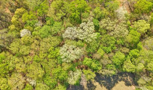 Photo #3 of Old Barn Road, Moneta, VA 0.9 acres