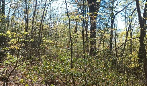 Photo #12 of Rockfish Heights, Nellysford, VA 4.7 acres