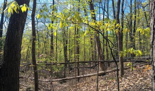 Photo #10 of Rockfish Heights, Nellysford, VA 4.7 acres