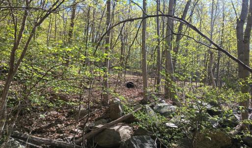 Photo #28 of Rockfish Heights, Nellysford, VA 4.7 acres