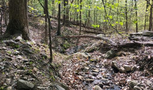 Photo #17 of Rockfish Heights, Nellysford, VA 4.7 acres