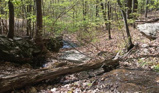 Photo #21 of Rockfish Heights, Nellysford, VA 4.7 acres