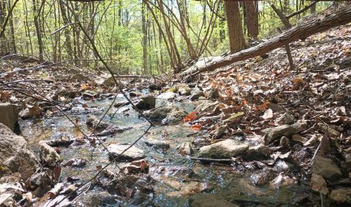 Photo #18 of Rockfish Heights, Nellysford, VA 4.7 acres