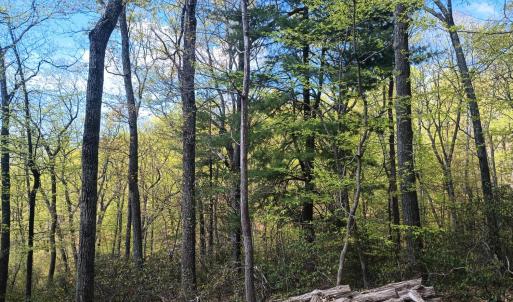 Photo #6 of Rockfish Heights, Nellysford, VA 4.7 acres