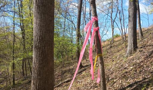 Photo #27 of Rockfish Heights, Nellysford, VA 4.7 acres