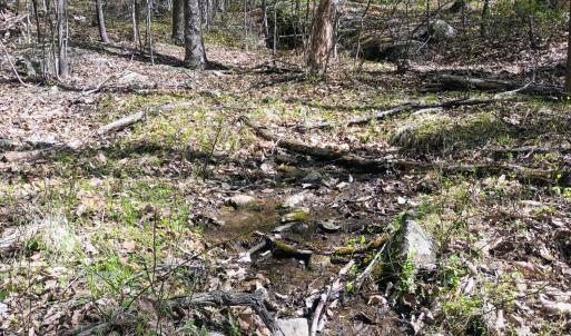 Photo #20 of Rockfish Heights, Nellysford, VA 4.7 acres