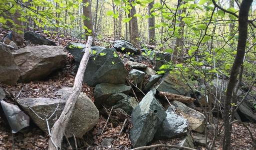 Photo #30 of Rockfish Heights, Nellysford, VA 4.7 acres