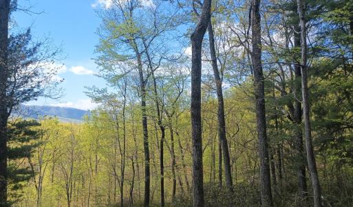 Photo #4 of Rockfish Heights, Nellysford, VA 4.7 acres