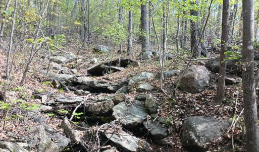Photo #16 of Rockfish Heights, Nellysford, VA 4.7 acres