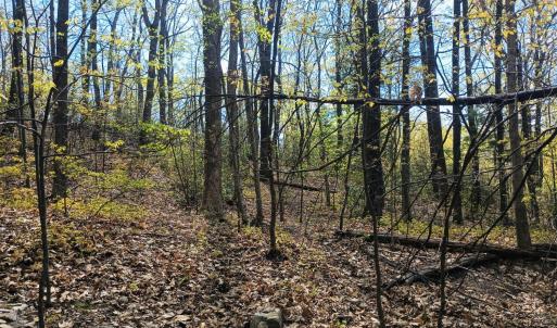 Photo #11 of Rockfish Heights, Nellysford, VA 4.7 acres