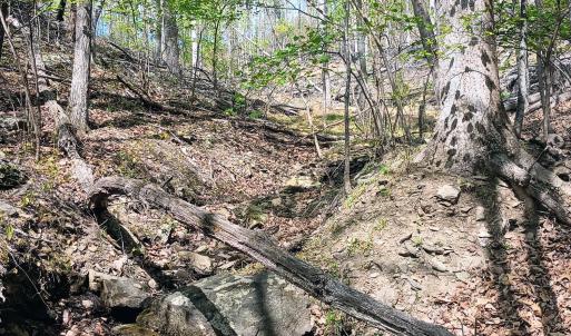 Photo #13 of Rockfish Heights, Nellysford, VA 4.7 acres