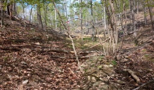 Photo #15 of Rockfish Heights, Nellysford, VA 4.7 acres