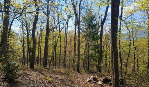 Photo #5 of Rockfish Heights, Nellysford, VA 4.7 acres