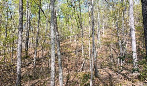 Photo #7 of Rockfish Heights, Nellysford, VA 4.7 acres