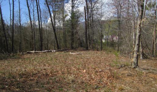 Photo #2 of 5 Logan Place, Nellysford, VA 1.2 acres