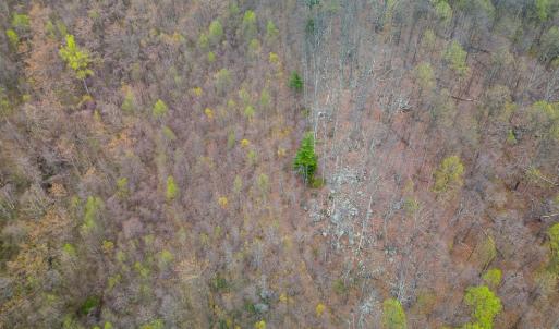 Photo #16 of Wares Gap Road, Monroe, VA 69.2 acres