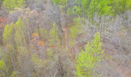 Photo #7 of Wares Gap Road, Monroe, VA 69.2 acres