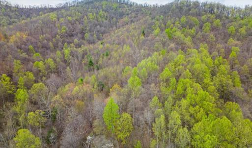 Photo #31 of Wares Gap Road, Monroe, VA 69.2 acres