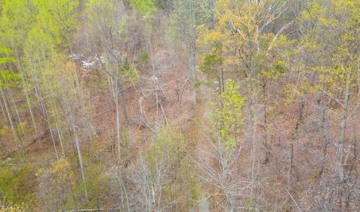 Photo #5 of Wares Gap Road, Monroe, VA 69.2 acres