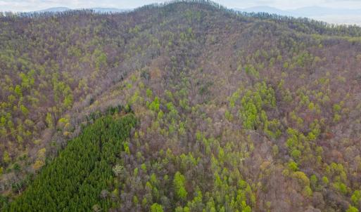 Photo #2 of Wares Gap Road, Monroe, VA 69.2 acres